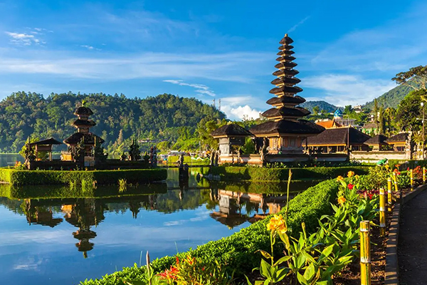Tour & Travel aedi